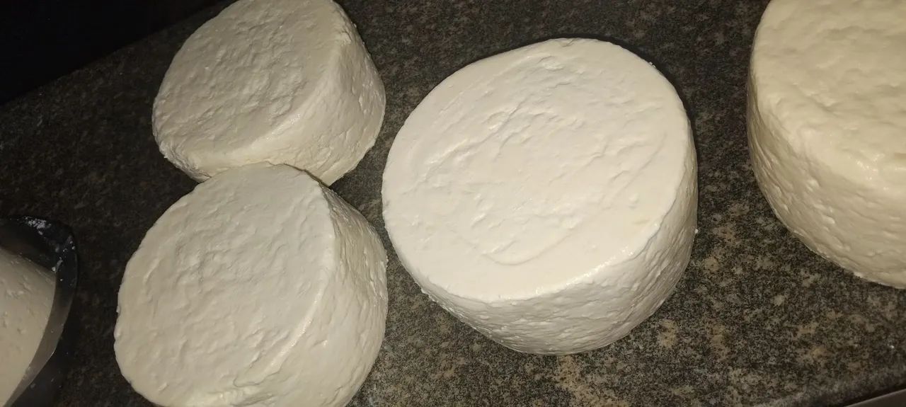 Vende-se queijo ?  - Foto 2