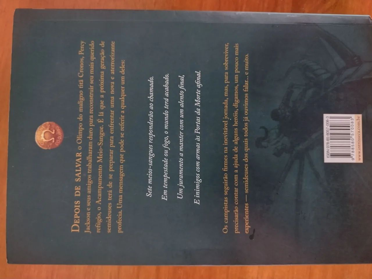Livro O herói perdido - Foto 2