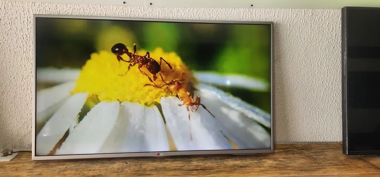 43 POLEGADAS LG SMART APENAS APLICATIVOS YOUTUBE FAÇO ENTREGA DEIXO INSTALADA R$799 - Foto 3