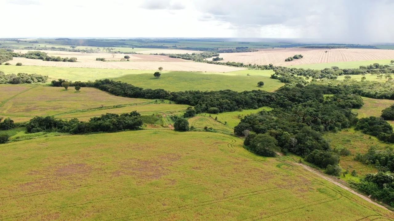 Fazenda em Indiara-Go - Foto 3