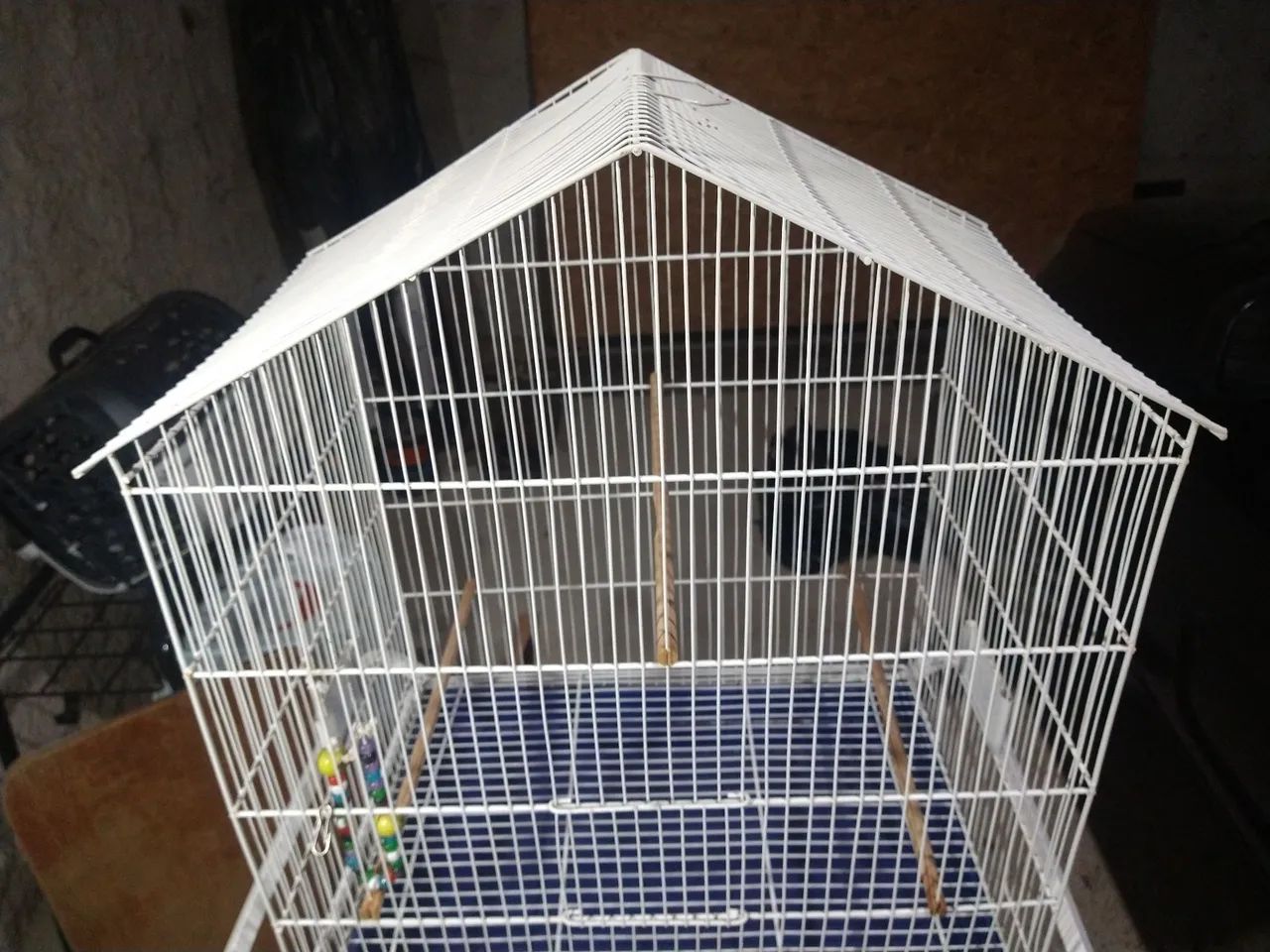Gaiola para calopsitas - Foto 2