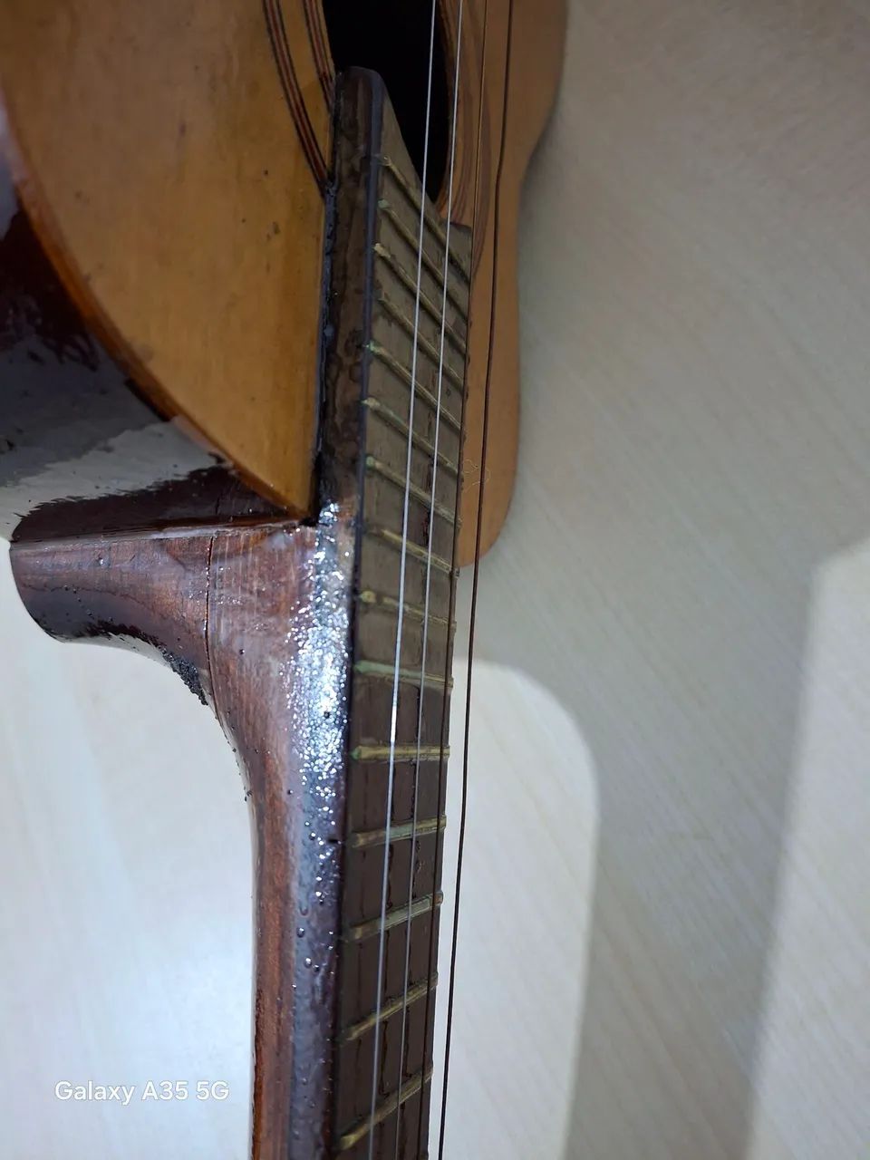 Cavaquinho tonante  - Foto 4