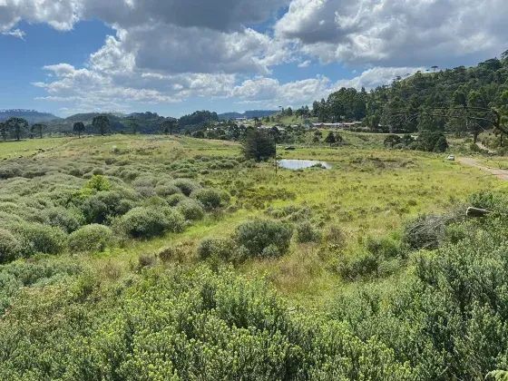 ÁREA DE 2,2 HECTRES À VENDA - Foto 5
