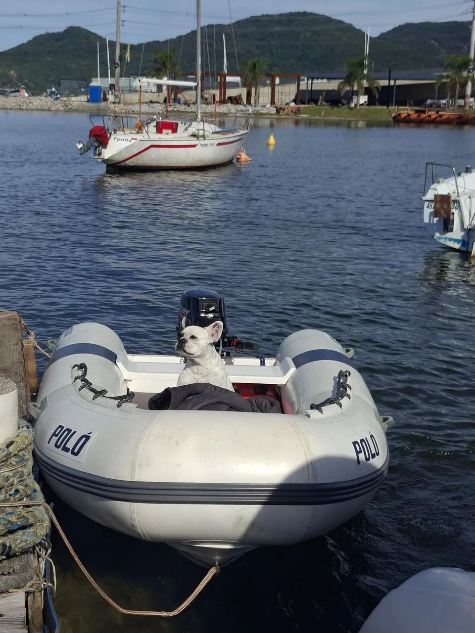 Oportunidade! Bote Zefir 3.0 com motor Mercury 15 super - Foto 4