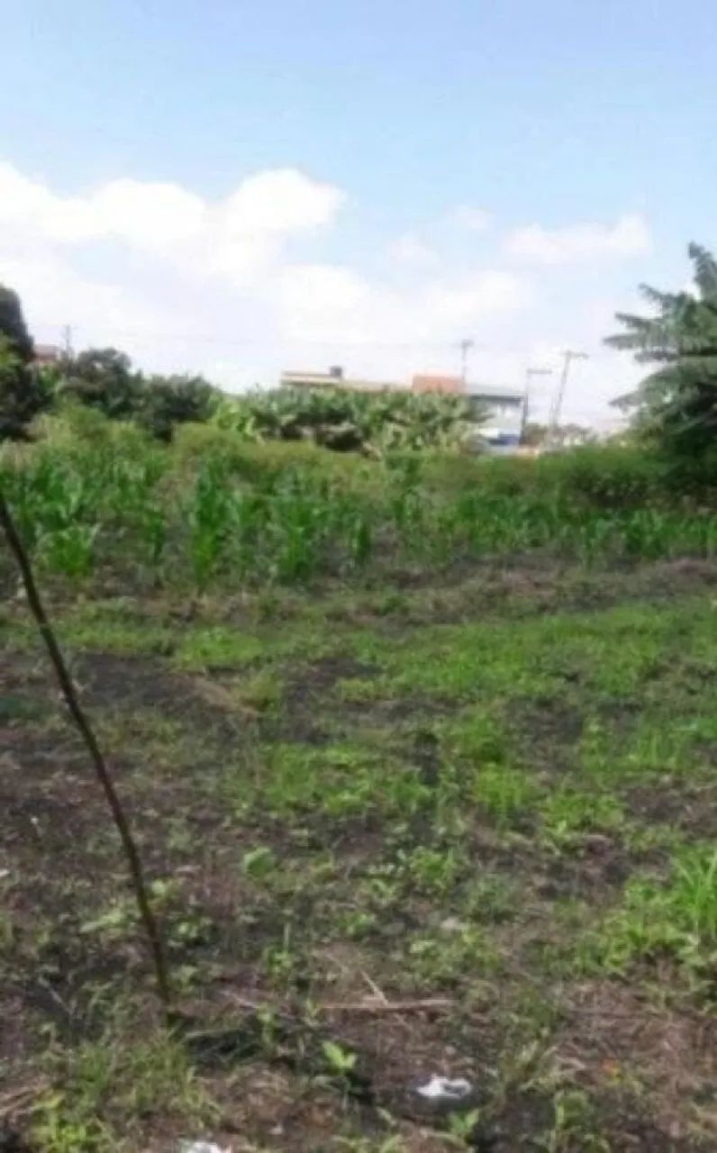 Terreno em Guarulhos - Foto 4