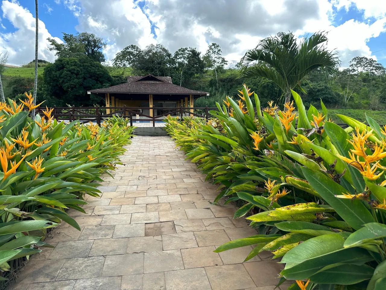 Lote - Rancho Olindense Carpina  - Foto 3