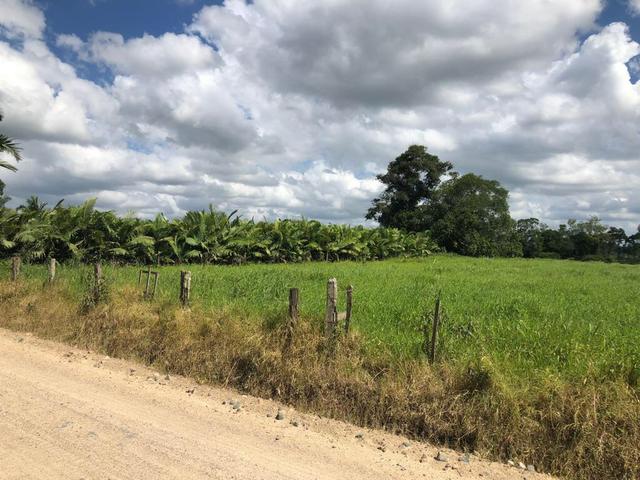 Chácara em Guaramirim - Foto 3
