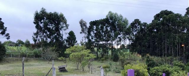 Chacara a 4 km do centro de Araucara 3.734,18 pronto para construir - Foto 5