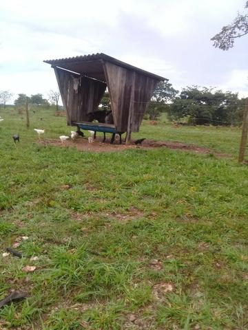 Sítio 60 km de Cuiabá - Foto 7