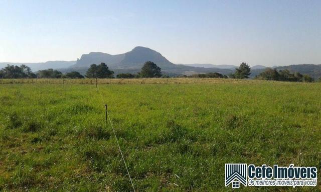 Chácara em Canela com 3 hectares - Foto 4