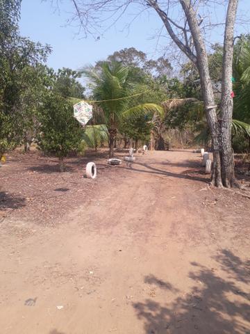 Vendo sítio (ACEITO PROPOSTAS ) - Foto 14