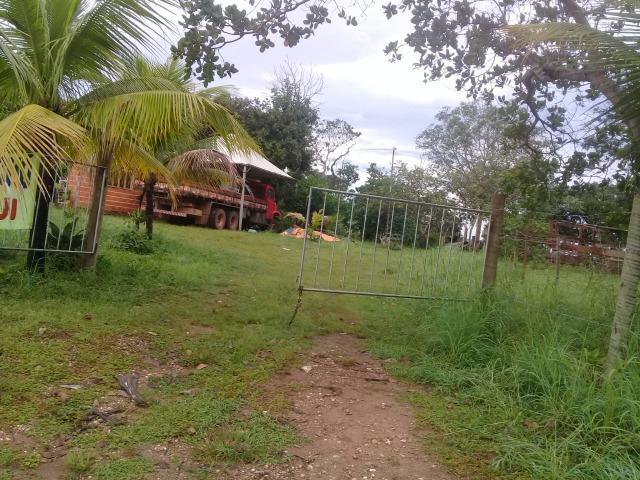 Sítio 60 km de Cuiabá - Foto 8