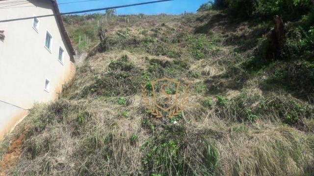 Terreno à venda, 741 m² por r$ 98.000,00 - pimenteiras - teresópolis/rj - Foto 5