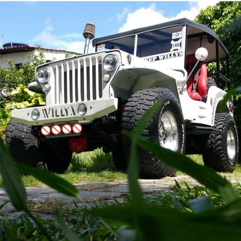 Jipe jeep willys - Foto 2