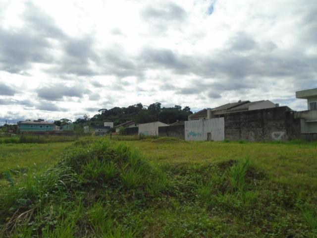 Terreno para alugar em Santa catarina, Joinville cod:08122.001 - Foto 8