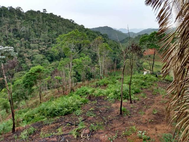 Terreno em Marechal Floriano