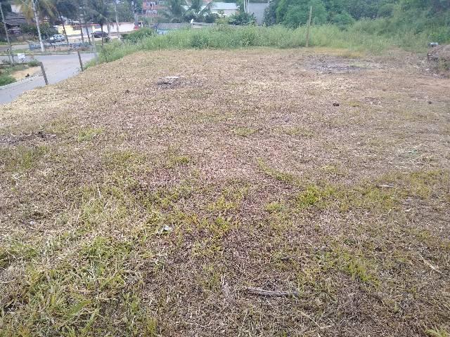 Viana lotes 180 metros quadrados