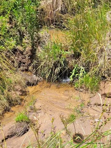 Imóvel com 2 hectares ao lado do Caminho das Nuvens / SC - Foto 4