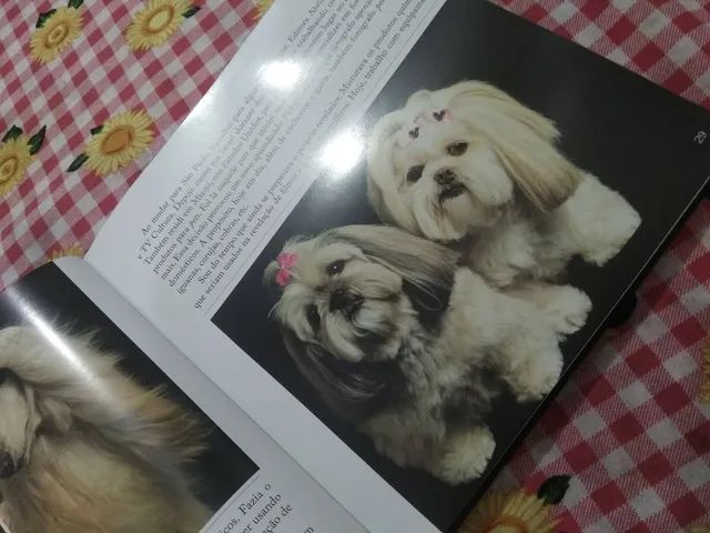 Como fazer fotografia  - Foto 4