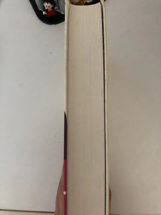 Livro Mulherzinhas ed Martin Claret Capa dura - Foto 4