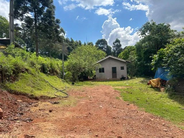 Chácara de 7,4 hectares em Ibema, próximo a cidade! - Foto 4