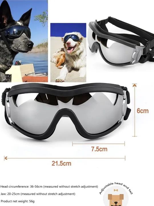 Óculos de proteção para cães - novo - Foto 4