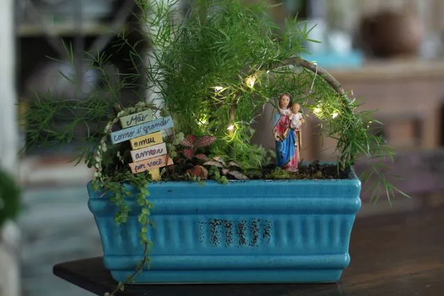 Terrários e Mini Jardins - Foto 5