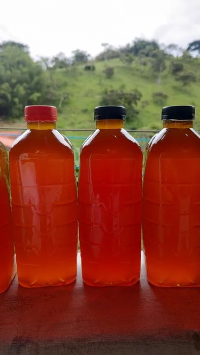 Mel de abelha puro 64167770633602122