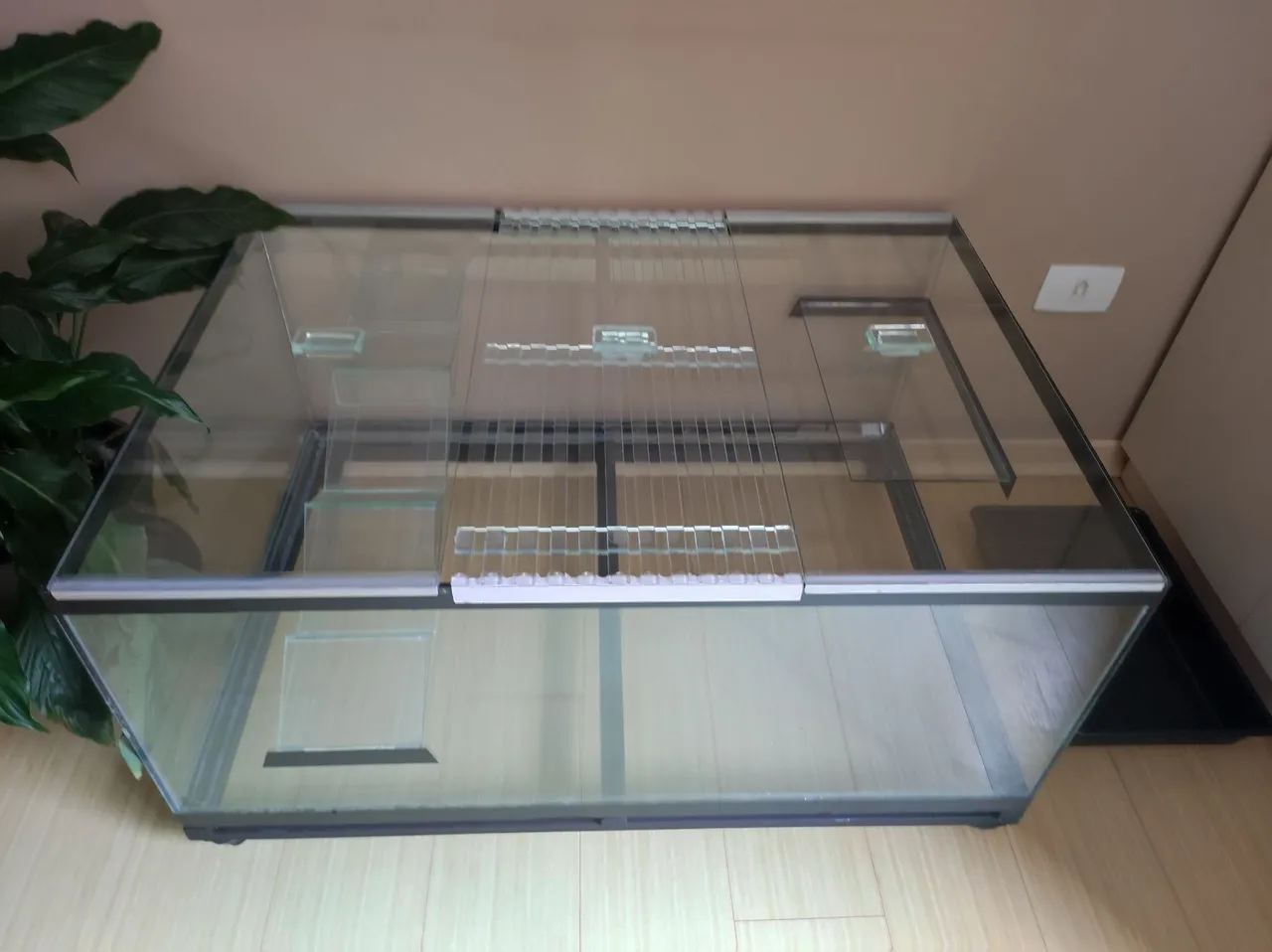 Terrário de vidro (animais, plantas, etc)