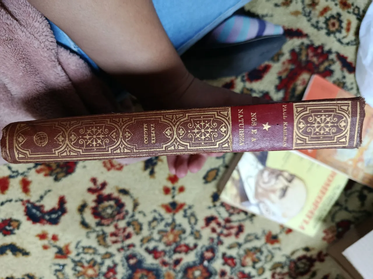 Livro 'Tapete Mágico' - Paul Karilson