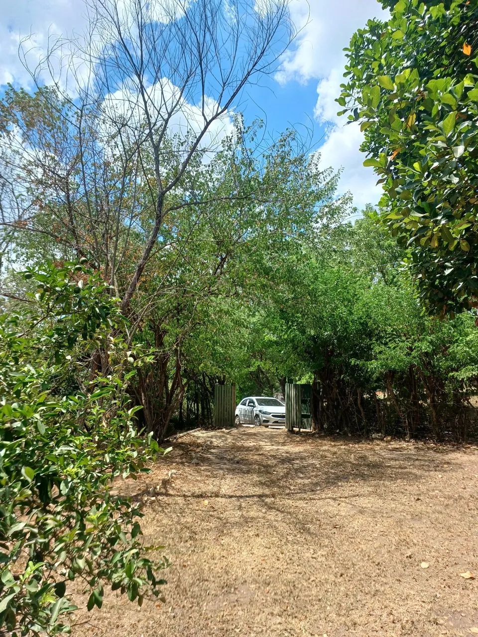 Venda de sítio  - Foto 5