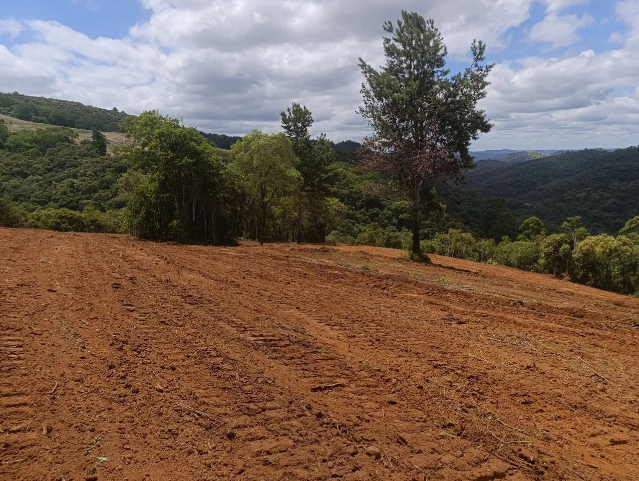 VENDO Lindo Terreno com 4000 m² - Bateias / Campo Largo