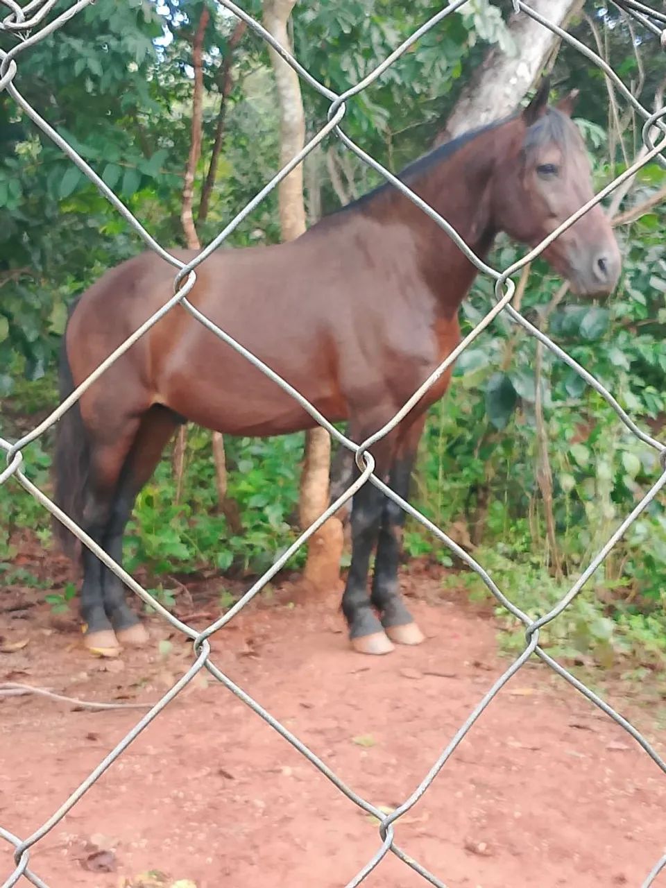 Vende se ou troca. - Foto 2