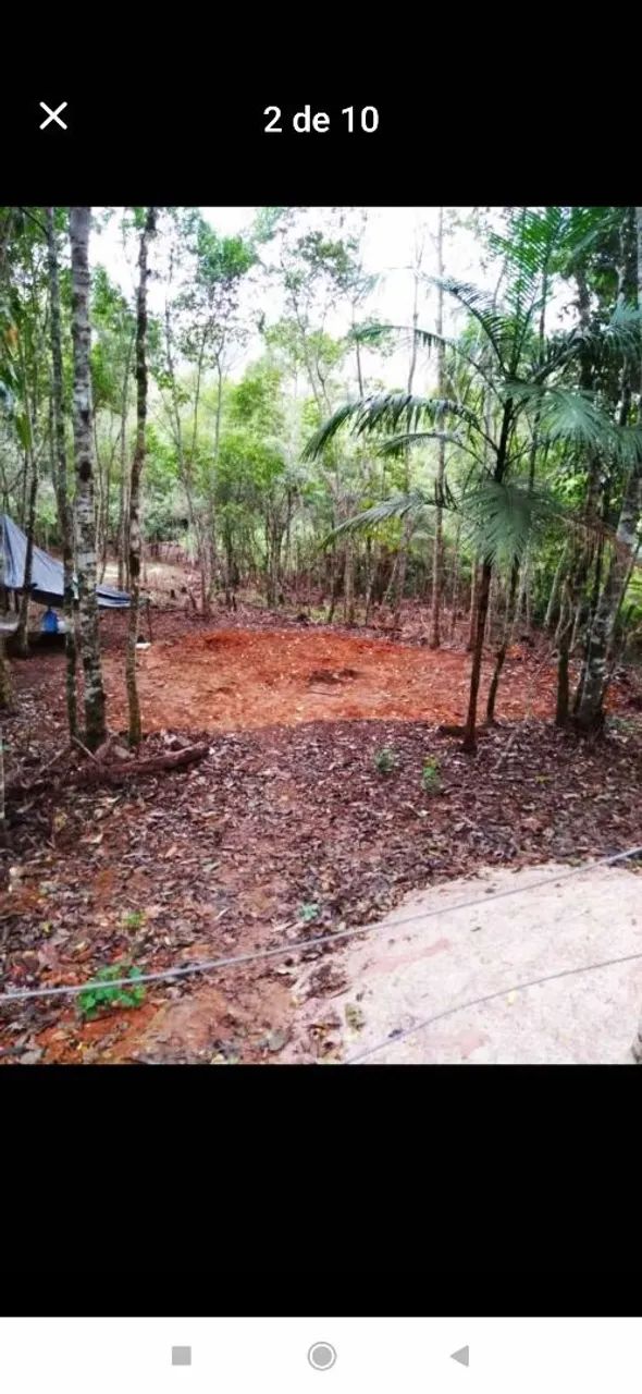 Foto - Osasco - Baronesa