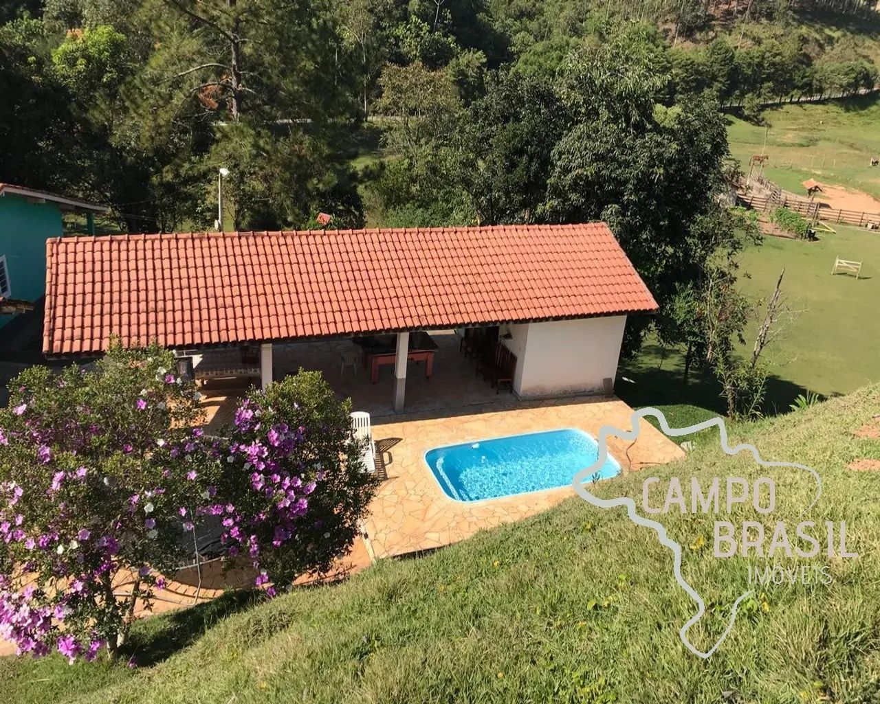 Oportunidade! Sítio formado de 10 alqueires. Estuda permuta! - Foto 2