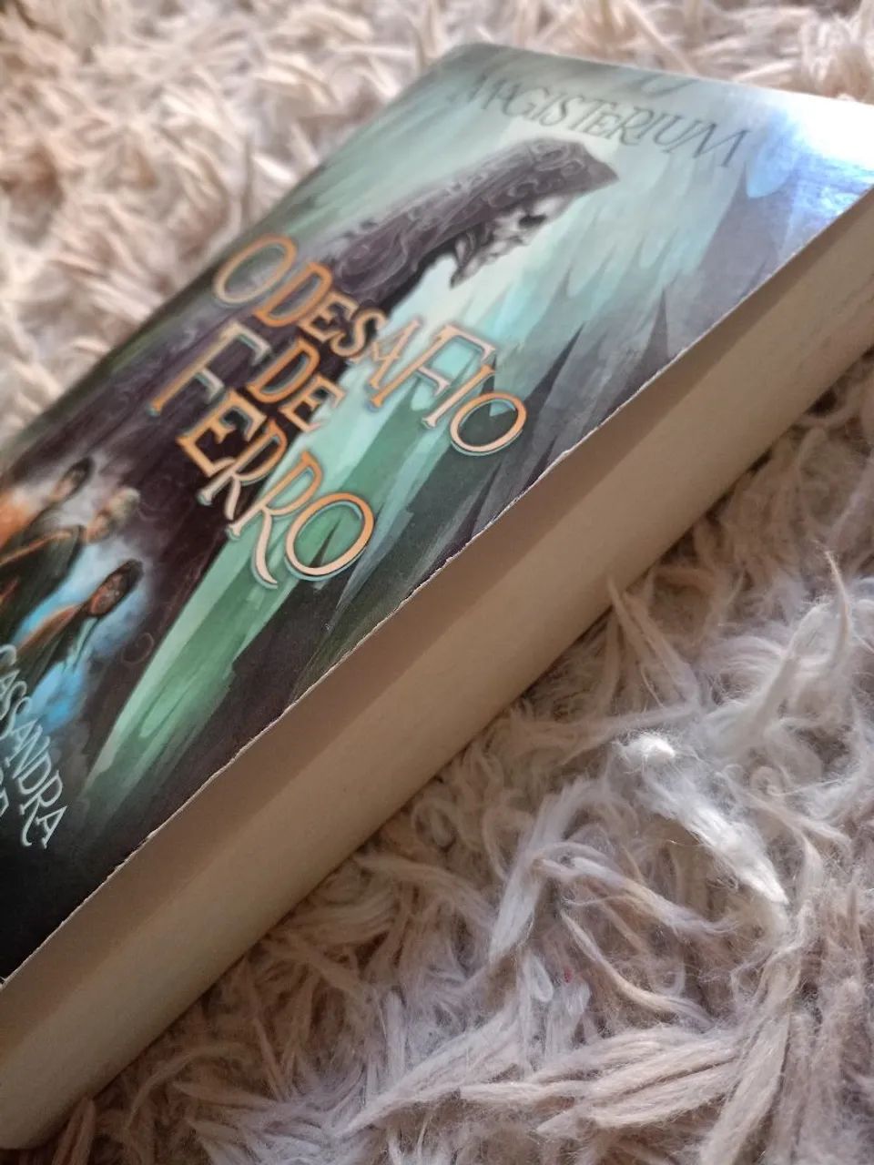 LIVRO: O Desafio de Ferro - Foto 5