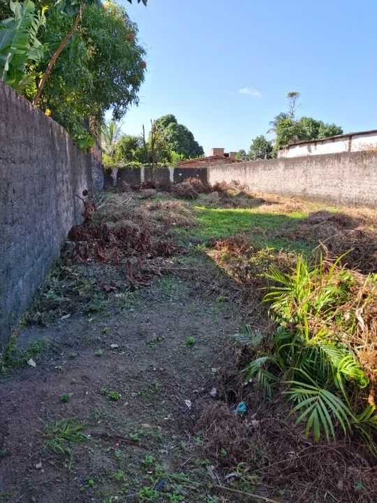Terreno 520m2, Rua Principal, plano, murado, fácil acesso BR 324, Av. 29 març.  - Foto 2