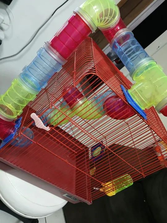 Gaiola para Roedor ? - Foto 5