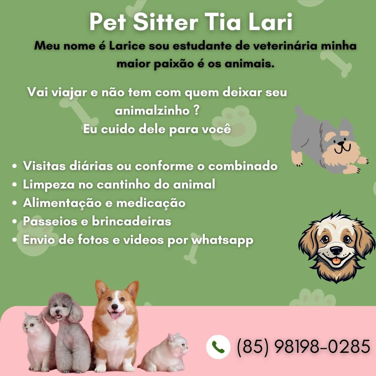 Pet sitter cães