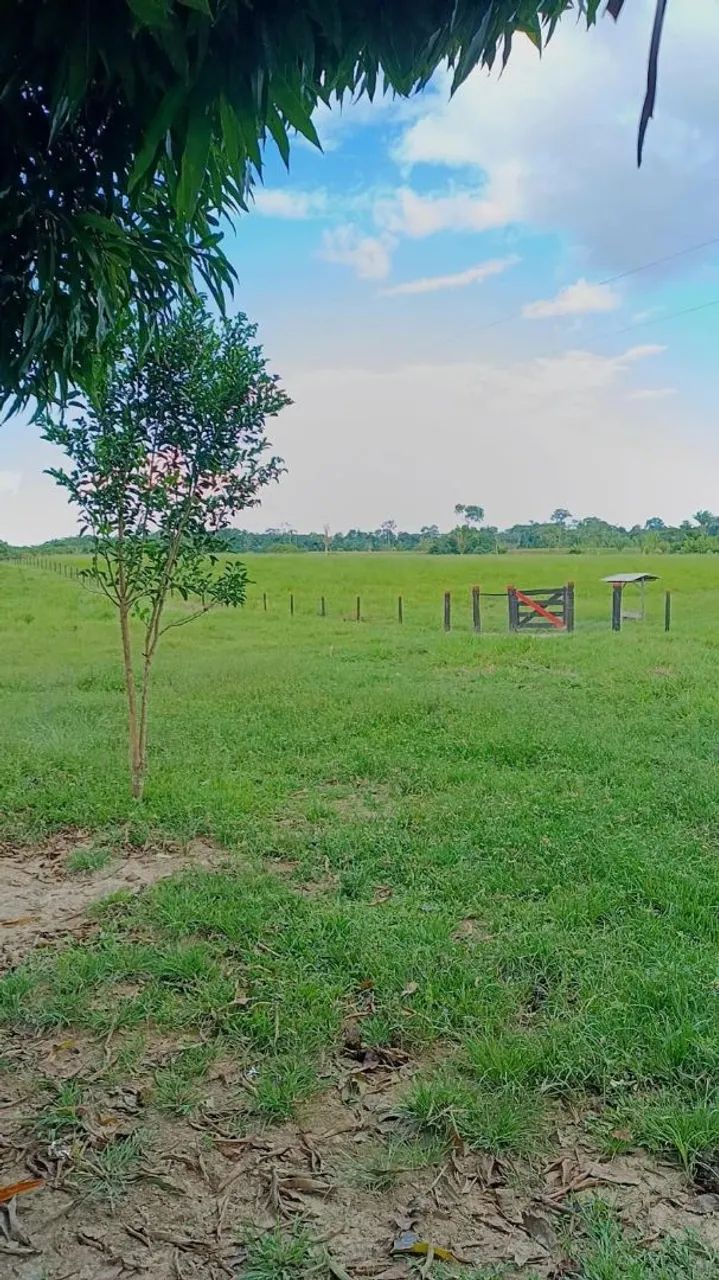 Terra a venda  - Foto 3