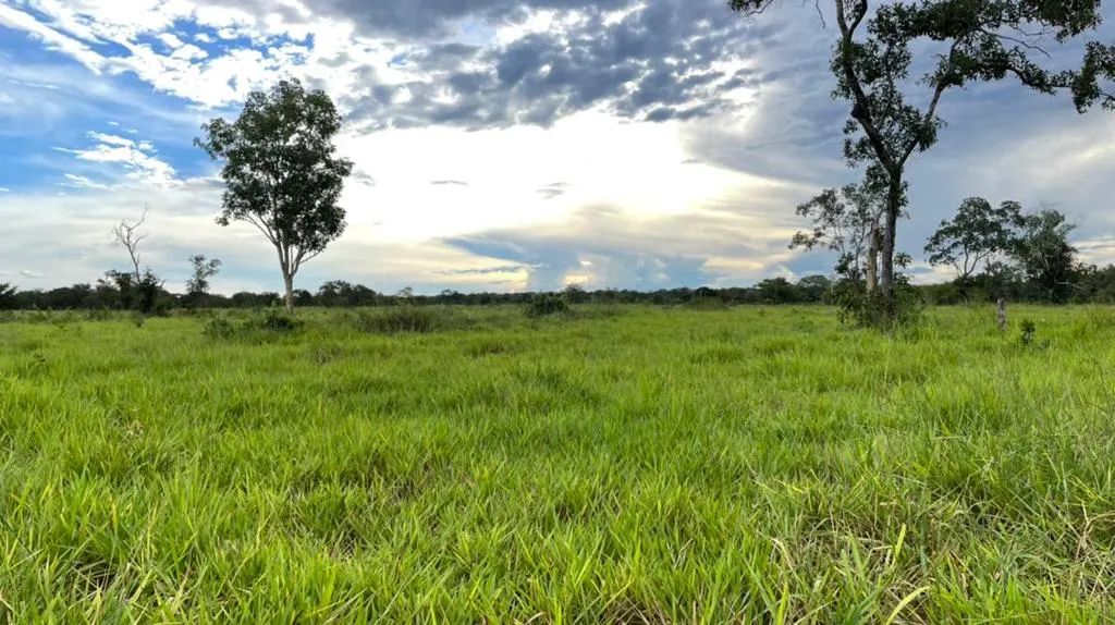 Fazenda 1.572 ha Aliança TO - Foto 3