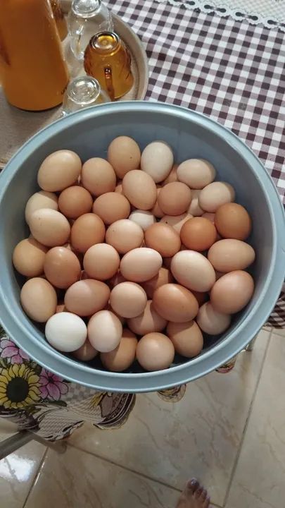 Ovos de  galinha caipira, no qual as galinhas são criadas soltas - Foto 3