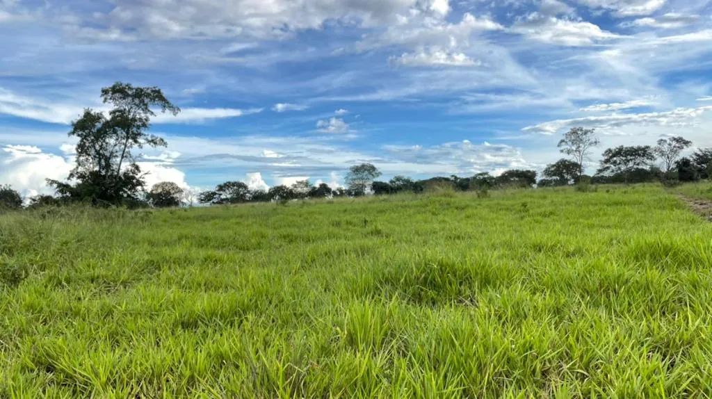 Fazenda 1.572 ha Aliança TO - Foto 4