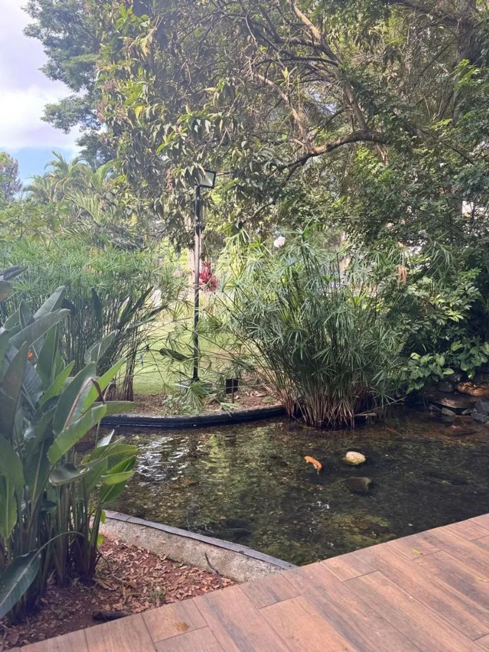 Apartamento com piscina e área verde