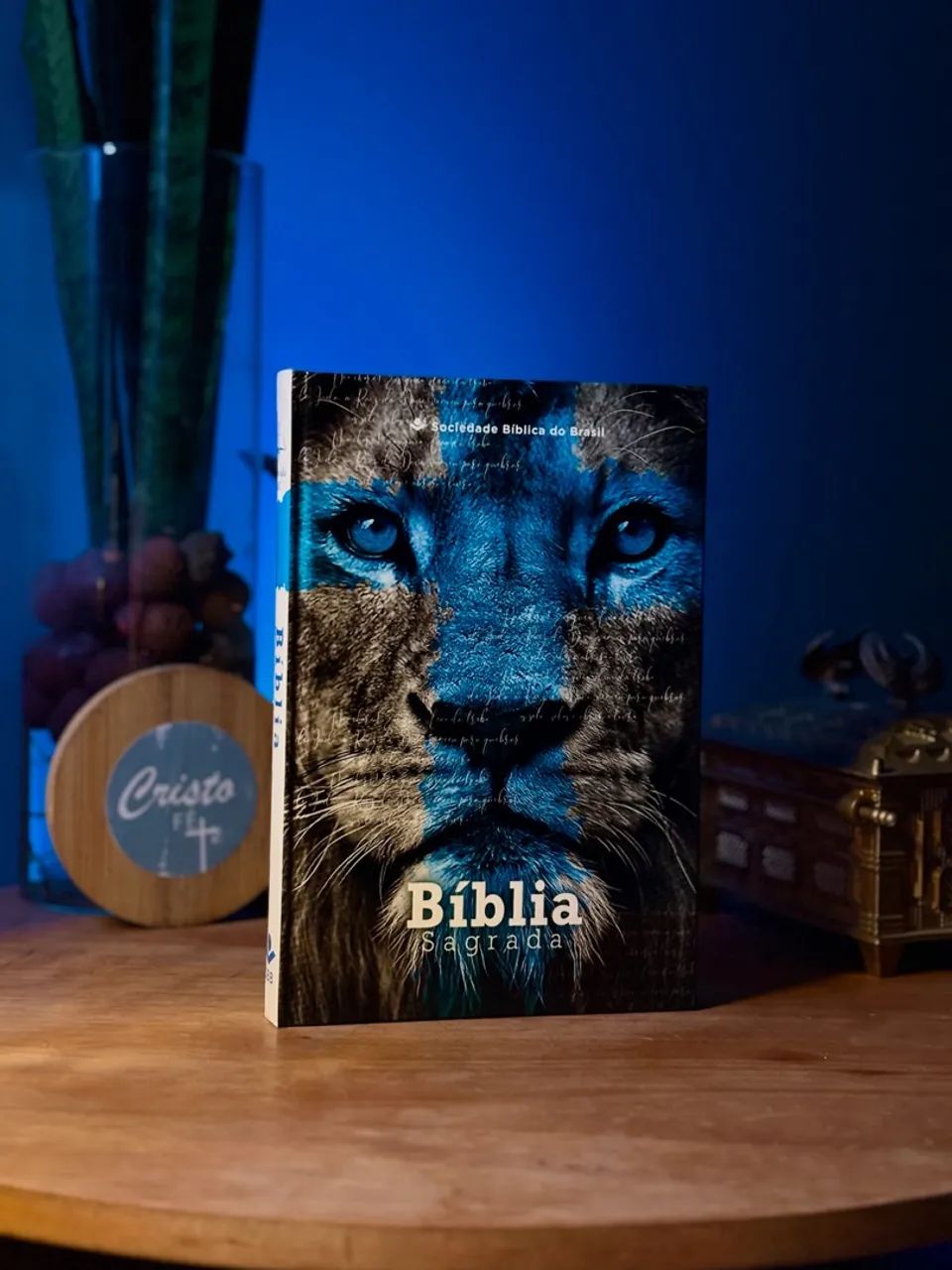 Bíblia sagrada promoção!