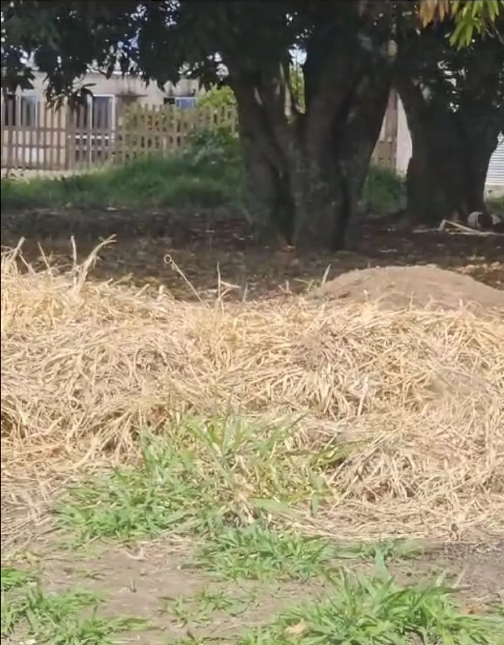 Vendo lote 400m² cond Bela Arte DF 475 beira do asfalto 2km do Gama 10mil de entrada 