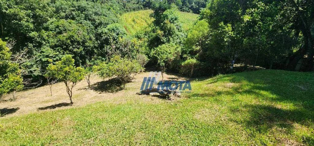 Chácara à venda Campo Magro - 51.920m², 2 casas- Frente para estrada principal, próximo ao - Foto 9