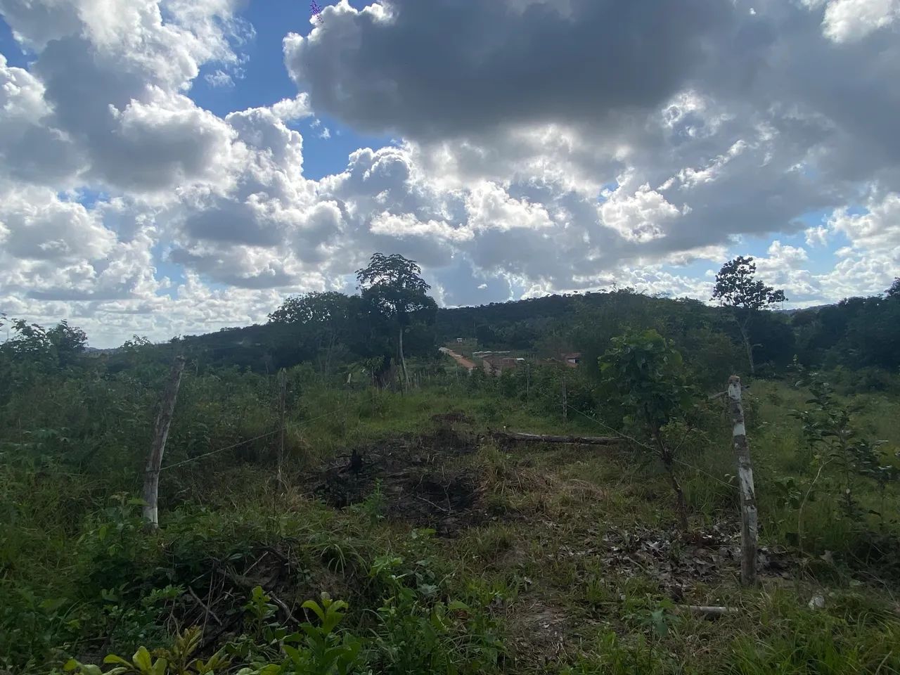 Terreno  - Foto 3