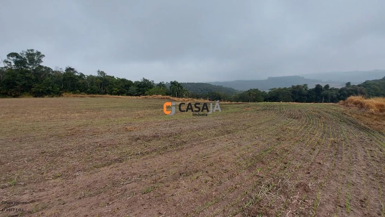 CHACARA RURAL em LAPA - PR, Itabaúna - Foto 3
