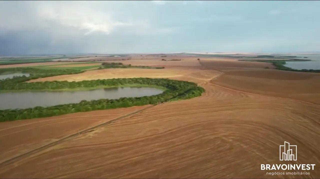 Fazenda de soja e milho localizada em Sertaneja, Paraná!! - Foto 2